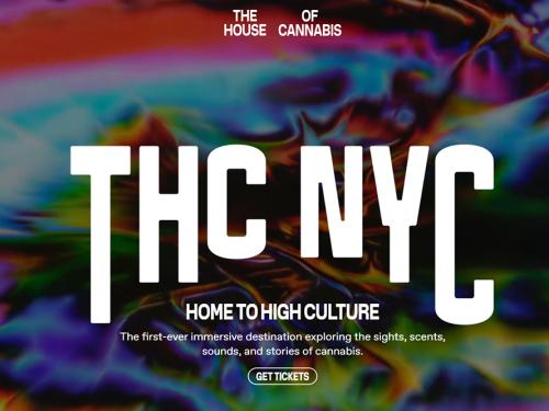 The House of Cannabis: NYC