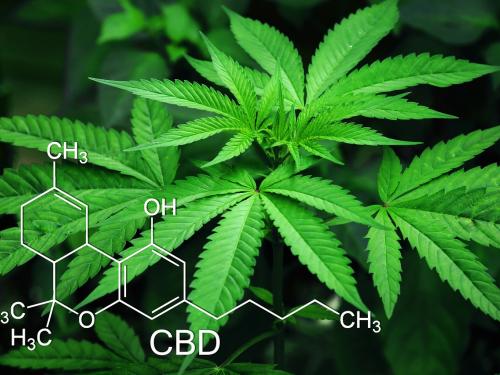 CBD vs. THC: Understanding the Science Behind Cannabis Compounds
